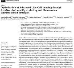 Optimization of Advanced Live-Cell Imaging through Red/Near-Infrared Dye Labeling and Fluorescence Lifetime-Based Strategies