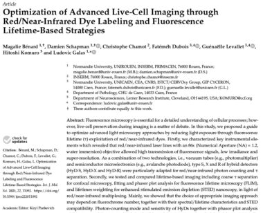 Optimization of Advanced Live-Cell Imaging through Red/Near-Infrared Dye Labeling and Fluorescence Lifetime-Based Strategies